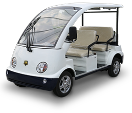 Electric Sightseeing Bus DN-4