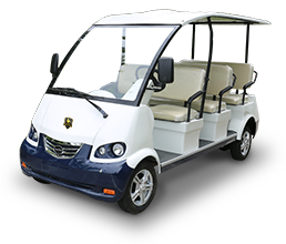 Electric Sightseeing Bus DN-8