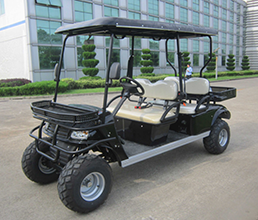 Electric Lifted Cart  