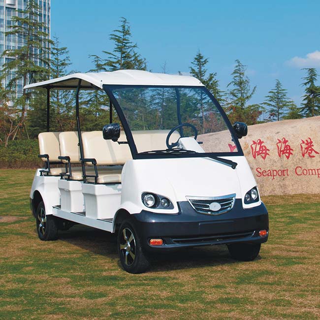 electric tourist car