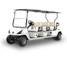 Golf Cart with 6 seats