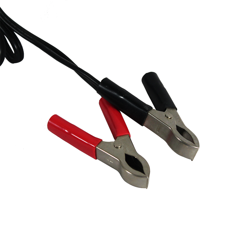 electric golf car battery charger