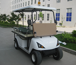 Electric Customzied Cart 