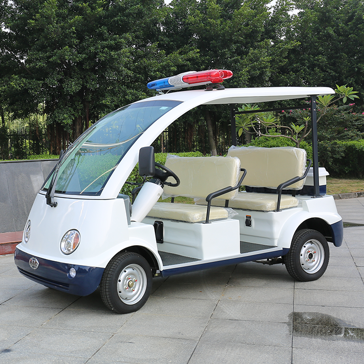 electric sightseeing car