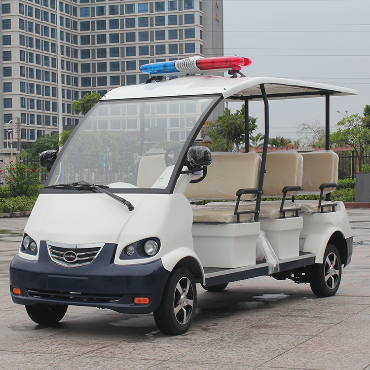 electric resort vehicle