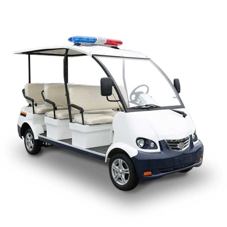 electric resort vehicle