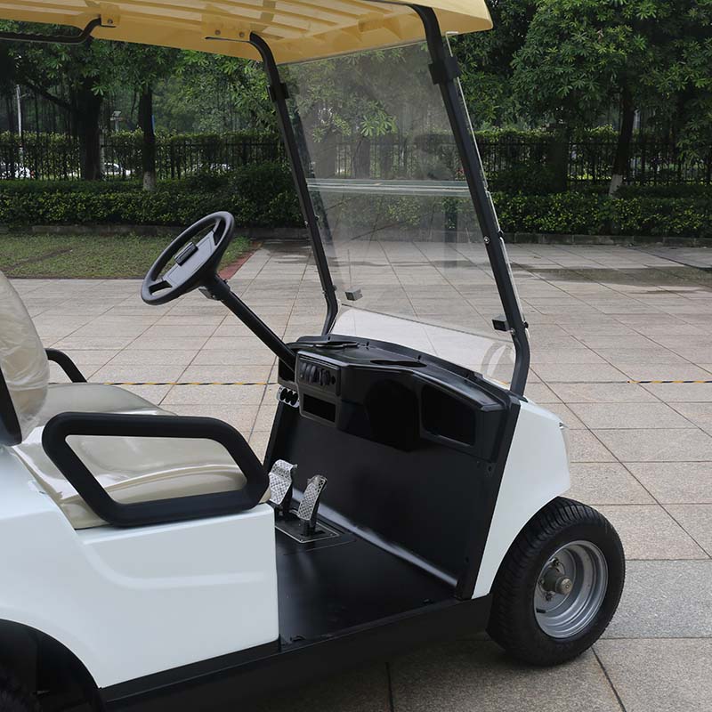 Electric Golf Cart