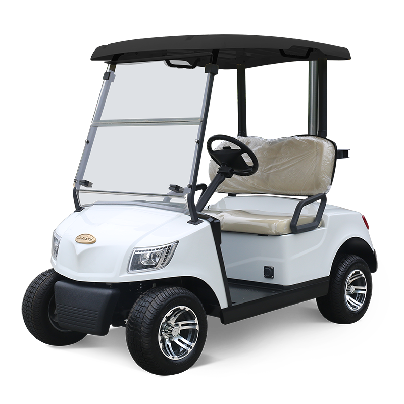 Electric Golf Cart