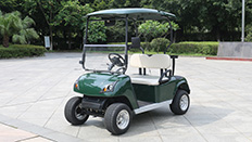 electric golf cart