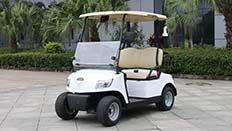 electric golf cart
