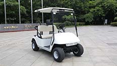 electric golf cart