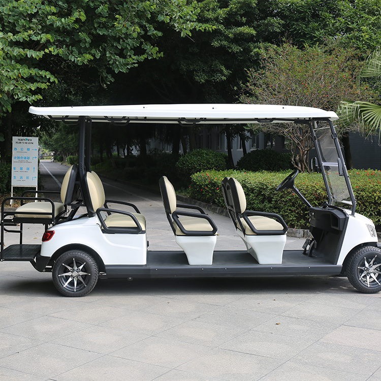 Electric Golf Cart 
