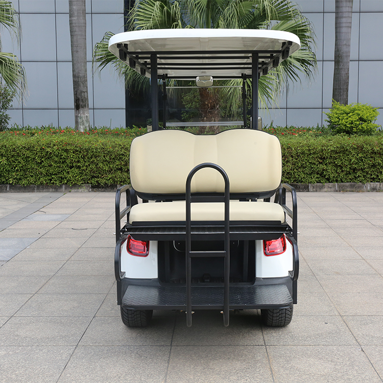 Electric Golf Cart 