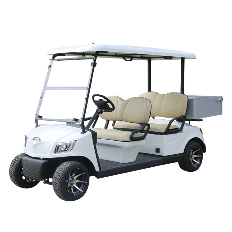 Electric Utility Vehicle
