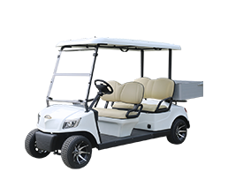 Electric Utility Vehicle DG-M4 +Cargo box