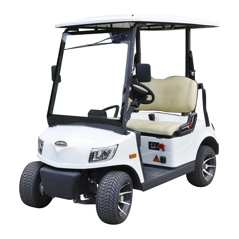 Electric Golf Cart