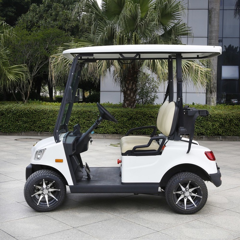 Electric Golf Cart 