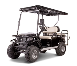 Electric Lifted Cart  