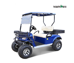 DH-C2 Lifted Golf Cart 