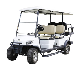 6 Seater Electric Golf Cart