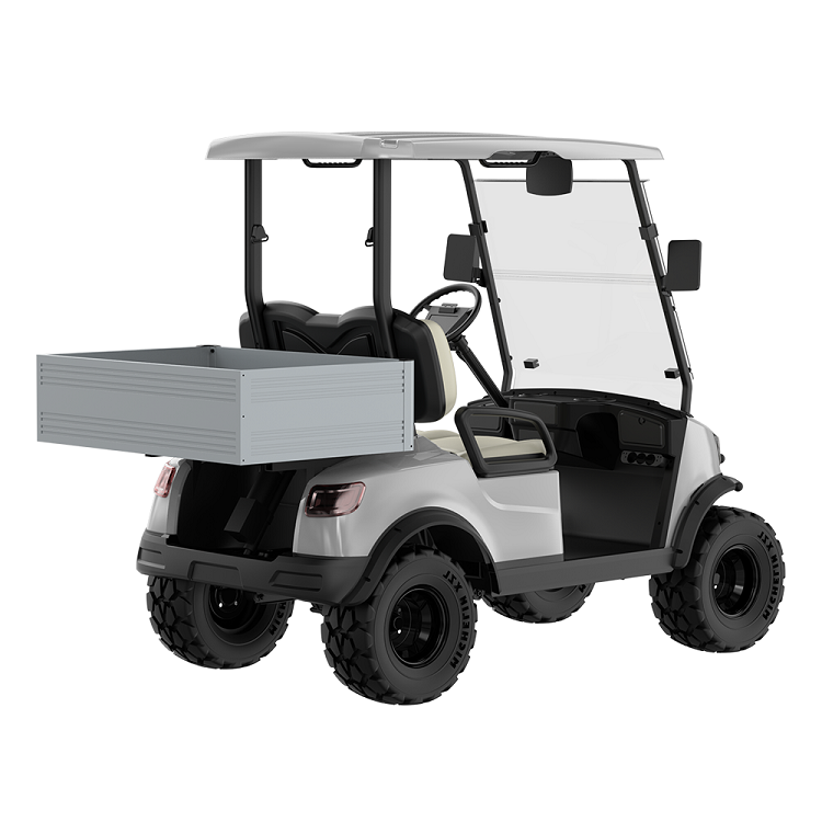 Electric Golf Cart