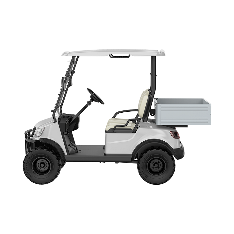 Electric Golf Cart