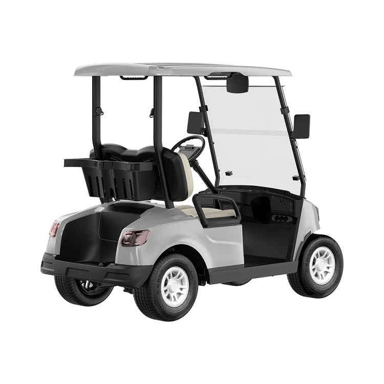 2 seater golf cart