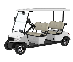 4 Seater Electric Golf Cart DG-M4