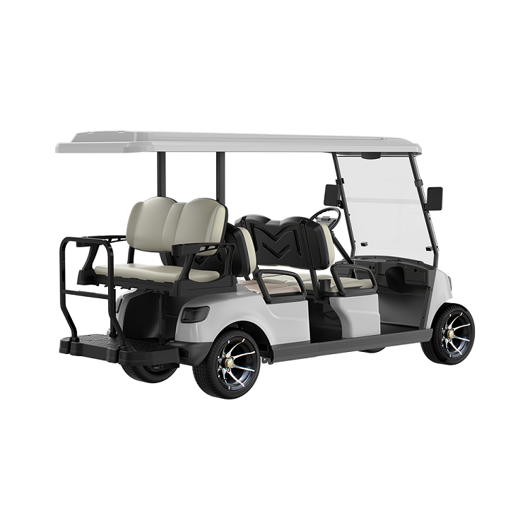  Golf Cart 