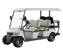 4 Seater Electric Golf Cart DG-M4+2