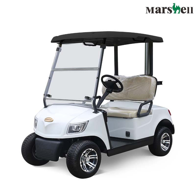 Electric Golf Cart