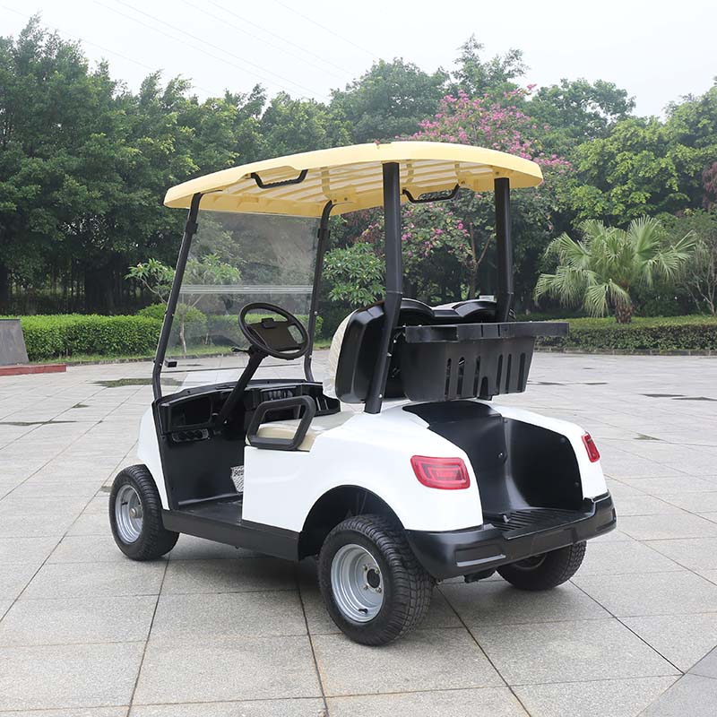 Electric Golf Cart
