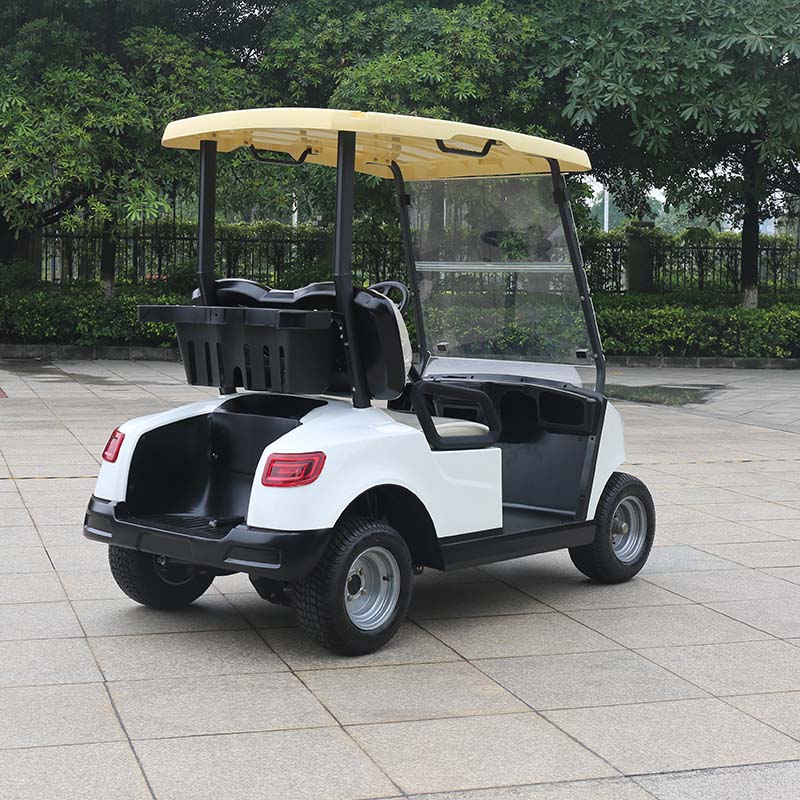 Electric Golf Cart