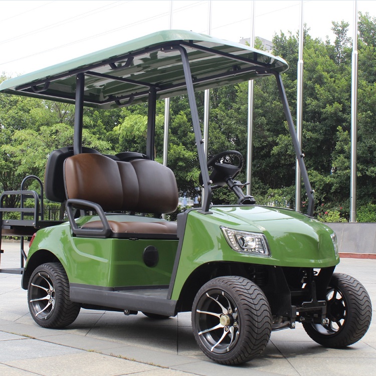  Electric Golf Cart 
