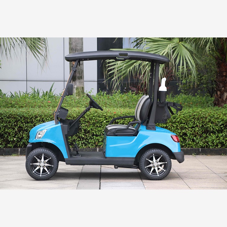 Electric Golf Cart