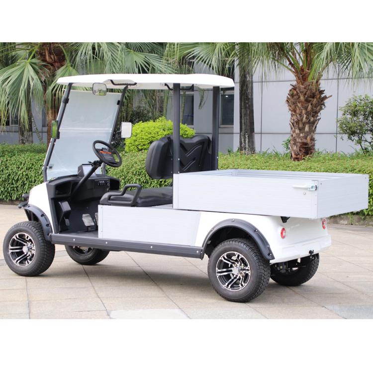 Electric golf cart