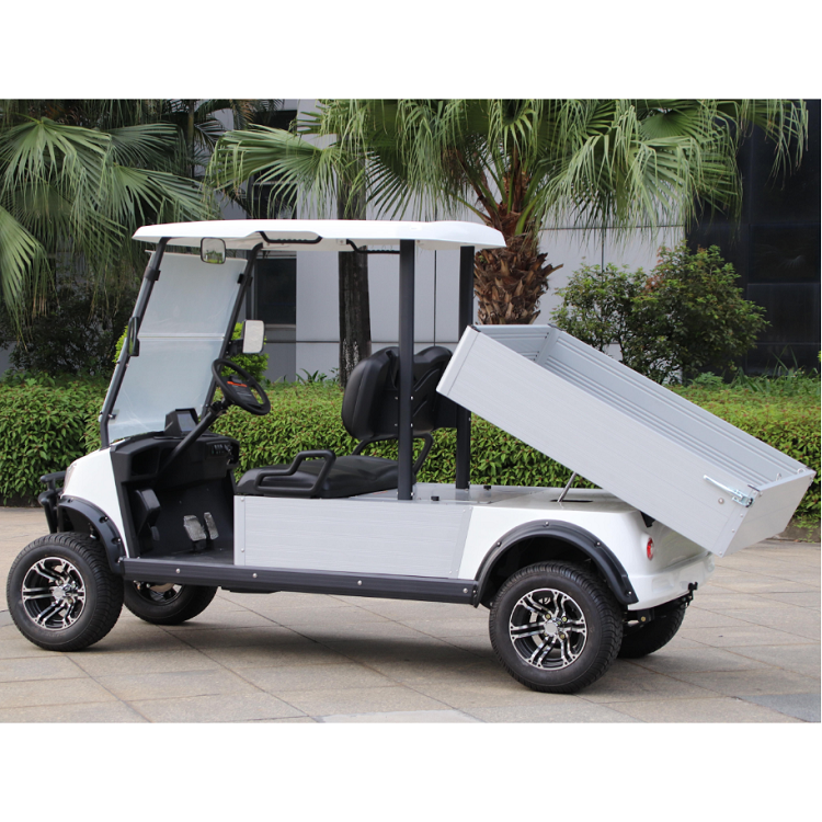 Electric golf cart