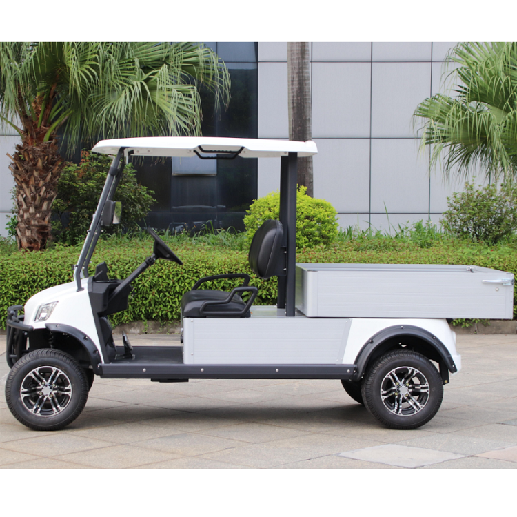 Electric golf cart