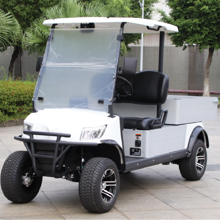 Electric golf cart