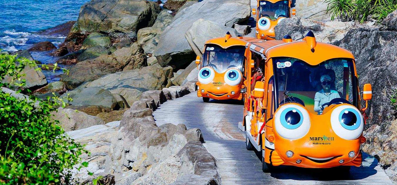 Electric Sightseeing Bus