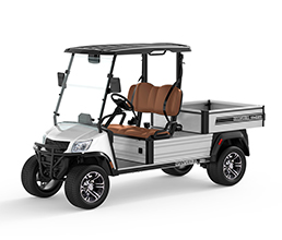 Marshell Electric 2 Seater Cart(DU-CA500M-2)
