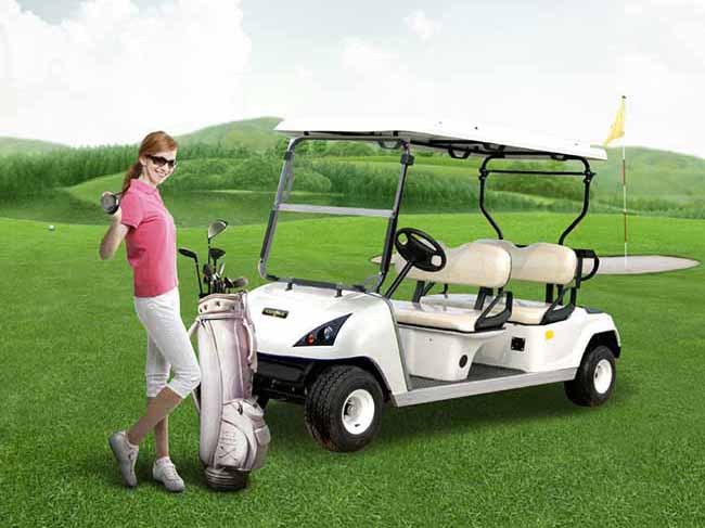 Electric Golf Cart